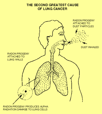 Radon is the second leading cause of lung cancer.